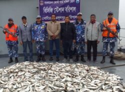 বরিশালে কোস্টগার্ডের অভিযানে ৮শ’ কেজি জাটকা জব্দ, জরিমানা আদায়