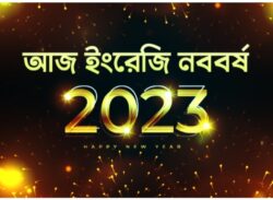 নতুন প্রত্যাশায় ২০২৩ বরণ, বিদায় ২০২২। দখিনের সংবাদ