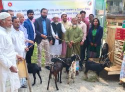 বরিশালে বিকল্প কর্মসংস্থানের লক্ষ্যে জেলেদের মাঝে ছাগল বিতরণ
