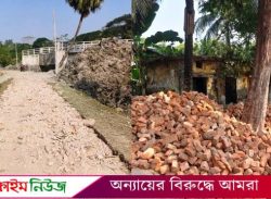 বরগুনায় রাস্তা থেকে তুলে রাখা ইট বিক্রির অভিযোগে ইউপি সদস্যসহ গ্রেপ্তার ৩