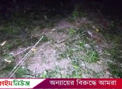 বরিশালে ভাইয়ের কবরে ঝাড়ুপেটা করলো ছোট ভাই!