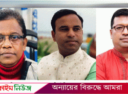 বিএমএসএফের বর্ষসেরা সম্মাননা পাচ্ছেন বরিশালের শাহিনসহ তিন সাংবাদিক