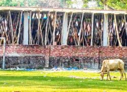 বরিশালে কলেজের খেলার মাঠ দখল করে মার্কেট নির্মাণ