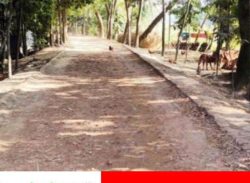 আমতলীতে দেড় বছরেও শেষ হয়নি সড়কের কাজ, বিল তুলে লাপা*ত্তা ঠিকাদার