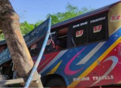 মিনিবাসকে ধা*ক্কা দিল ঢাবির পিকনিক বাস, নি*হত ২