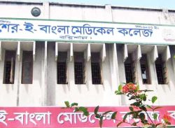 বরিশালে দুই বছরের শিশুর প্রাণ কেড়ে নিল ডেঙ্গু