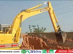 নলছিটিতে ৬ টি ইটভাটায় অভিযান ৬ লাখ টাকা জরিমানা কাঁচা ইট ধ্বংস