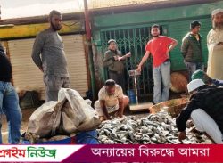 জাটকায় সয়লাব বরিশাল মৎস্য অবতরণ কেন্দ্র