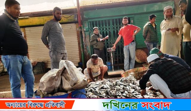 জাটকায় সয়লাব বরিশাল মৎস্য অবতরণ কেন্দ্র