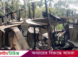 বরগুনায় অ’’গ্নি’’কা’’ণ্ডে ১৬টি দোকান পুড়ে ছা’’ই, কোটি টাকার ক্ষতি