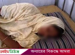 বরিশালে যৌতুকের দাবিতে গৃহবধূর উপর দফায় দফায় হামলা