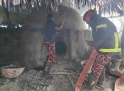 বরগুনায় অবৈধ কয়লা চুল্লি ধ্বংসে প্রশাসনের অভিযান