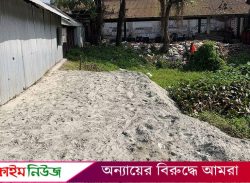 বরিশালে সরকারি পুকুর ভরাট করে দোকান করেছেন স্বেচ্ছাসেবক লীগ সভাপতি