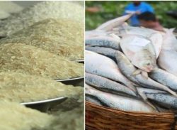 বরিশালে চালের বাজারে অস্থি*রতা : বেড়েছে ইলিশসহ অন্যান্য মাছের দাম