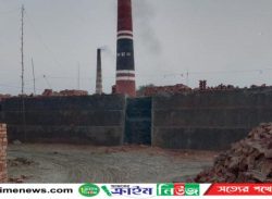 সরকারি রাস্তা দখল করেন ভারপ্রাপ্ত চেয়ারম্যানের ইটভাটা