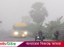 ঘন কুয়াশায় দক্ষিণ অঞ্চলের জনজীবন অতিষ্ঠ