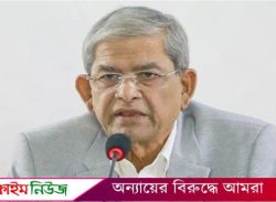 ছাত্রদের প্রতিনিধি সরকারে রেখে দল নির্বাচন করলে মানবে না বিএনপি: ফখরুল
