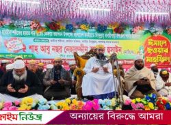 ওয়াজের ময়দান ইদানিং রঙ্গমঞ্চ তথা হাসি-তামাশার স্থান হয়ে উঠেছে : ছারছীনা পীর