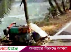 বানারীপাড়ায় চেয়ারম্যানের ভাই-ভাতিজার নেতৃত্বে আ.লীগ নেতার ঘেরের মাছ লুট!