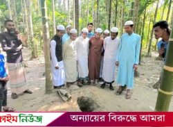 ভোলায় রাতের আঁধারে ৫ কবরের লাশ-কাফনের কাপড় চুরি