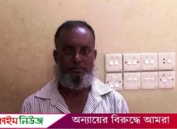 বরিশালে যৌতুকের দাবিতে স্ত্রী হত্যায় স্বামীর মৃত্যুদণ্ড