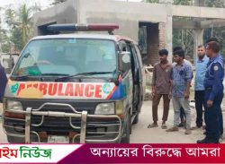 ভোলায় গরু চুরির সময় হাতেনাতে ধরা, গণপিটুনিতে দুই যুবক নিহত