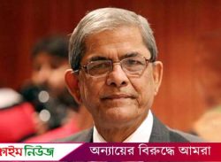 সরকারে থেকে দল গঠন করলে মেনে নেবে না দেশের মানুষ: ফখরুল