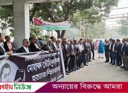 প্রশাসন থেকে হাসিনার দোসরদের সরাতে আইনজীবীদের আলটিমেটাম