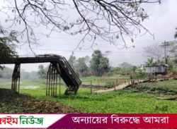 আমতলীতে ইজিবাইকের চাপে ভেঙ্গে পড়লো দুই কোটি টাকার সেতু