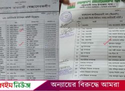পটুয়াখালীতে বিএনপির তালিকায় দুই সেচ্ছাসেবক লীগ নেতার নাম!