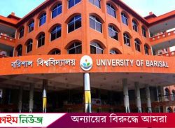 ক্ষমতার অপব্যবহার করে সিন্ডিকেট থেকে ২ শিক্ষক প্রতিনিধিকে বাদ দিলেন ববি ভিসি!