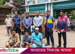 বরিশালে ১৩ ড্রাম চাপিলা মাছ জব্দ, ৩ ইজিবাইক চালককে জরিমানা