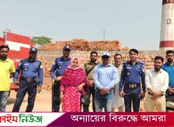 ঝালকাঠিতে কৃষি জমির মাটি ইটভাটায় ব্যবহার, ২ লাখ টাকা জরিমানা