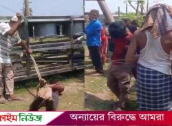 বরিশালে চুরির অভিযোগে দুই যুবককে হাত-পা বেঁধে নির্যাতন, দোকান মালিক আটক