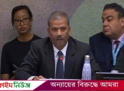 ভোটের অধিকারের ব্যাপারে আমাদের সরকার প্রতিশ্রুতিবদ্ধ, আসিফ নজরুল