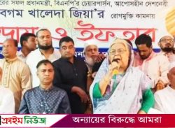 দলের ভিতরে বিভেদ না করে দলকে এগিয়ে নিতে কাজ করুন : সেলিমা রহমান