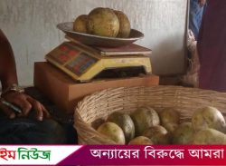 বরিশালে কেজি দরে বিক্রি হচ্ছে বেল!