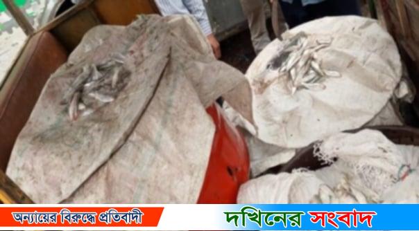 বরিশালে মৎস্য অধিদপ্তরের বিশেষ অভিযানে ২ টন ঝাটকা উদ্ধার