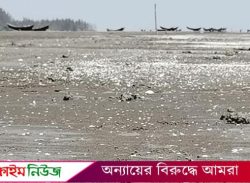 কুয়াকাটায় সমুদ্র সৈকত জুড়ে সাদা ঝিনুক