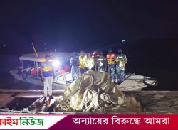 বরিশালে জাটকা সংরক্ষণ অভিযানে ফের জেলেদের হামলা, মৎস্য কর্মকর্তাসহ আহত ২