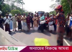 বরিশালে গ্রীনলাইন পরিবহনের বাসচাপায় প্রাণ গেল শিশুর