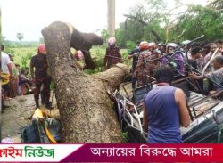 পটুয়াখালীতে আকস্মিক কালবৈশাখীর তাণ্ডবে শতাধিক ঘরবাড়ি বিধ্বস্ত