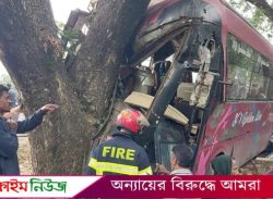 ঈদের ছুটির আট দিনে সারাদেশে ১১০টি সড়ক দুর্ঘটনায় নিহত ১৩২ আহত ২০৮