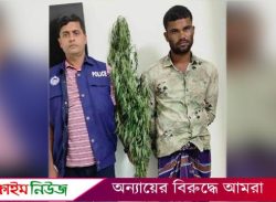 বরিশালে বাড়ির বাগান থেকে গাঁজা গাছ উদ্ধার, আ.লীগ নেতার ছেলে আটক