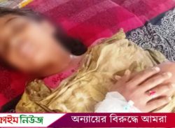 বরিশালে জমির বিরোধে অন্তঃসত্বা নারীকে মারধর, নষ্ট হয়ে গেল গর্ভের সন্তান