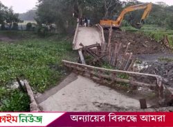 বরগুনায় কোনো কারন ছাড়াই ভেঙে খালে পড়লো সেতু