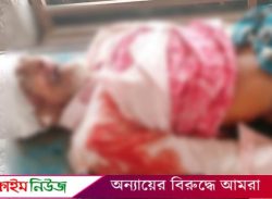 বরিশালে হানিফ পরিবহনের চাপায় প্রাণ গেল শ্রমিকদল নেতার