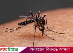 একদিনে আরও ২৪৪ জন ডেঙ্গু আক্রান্ত, ১৩৮ জনই বরিশালের
