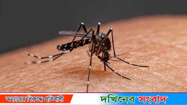 একদিনে আরও ২৪৪ জন ডেঙ্গু আক্রান্ত, ১৩৮ জনই বরিশালের