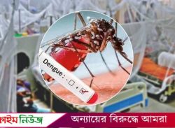 ডেঙ্গু আক্রান্ত হয়ে আরও ২০৪ রোগী হাসপাতালে ভর্তি, ১০১ জনই বরিশালের